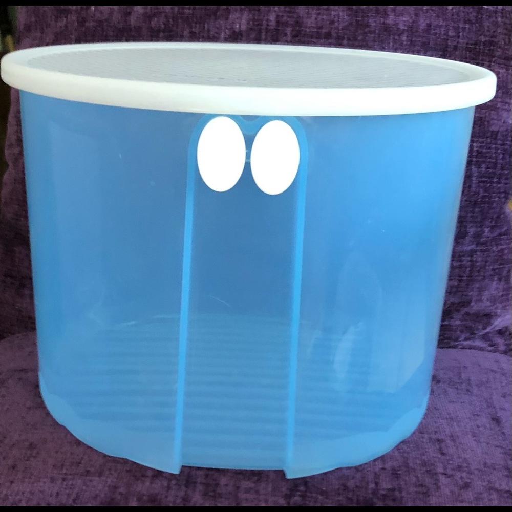 Vintage Tupperware Fridgesmart Container